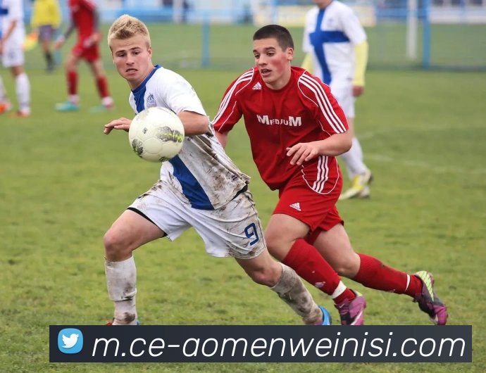 威尼斯人官网平台生态图